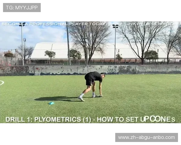 足球训练中的耐力与爆发力结合